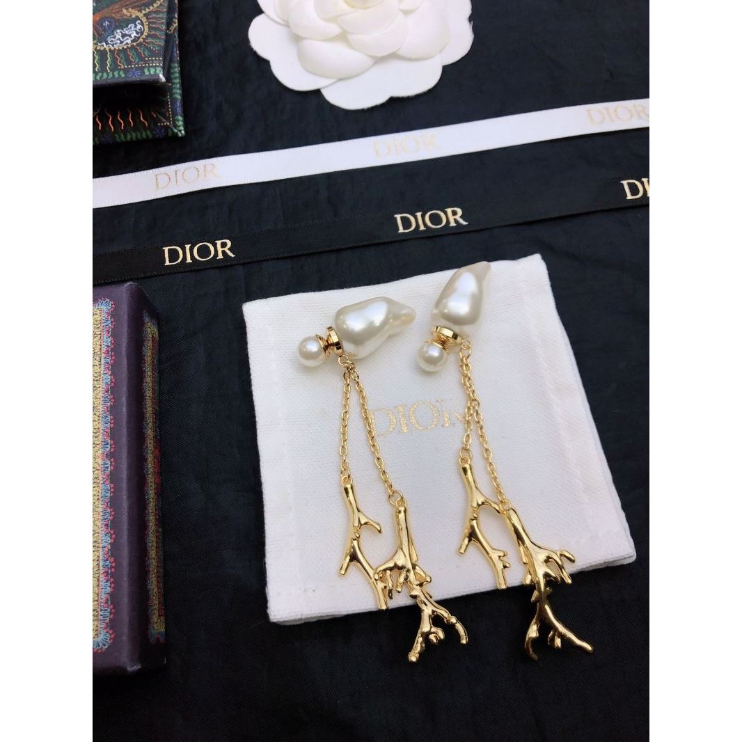 Christian Dior Earrings